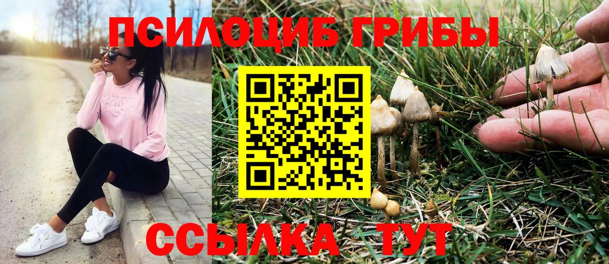 Галлюциногенные грибы прущие грибы  даркнет сайт  Вход с VPN  Мытищи  Галлюциногенные грибы мухоморы 